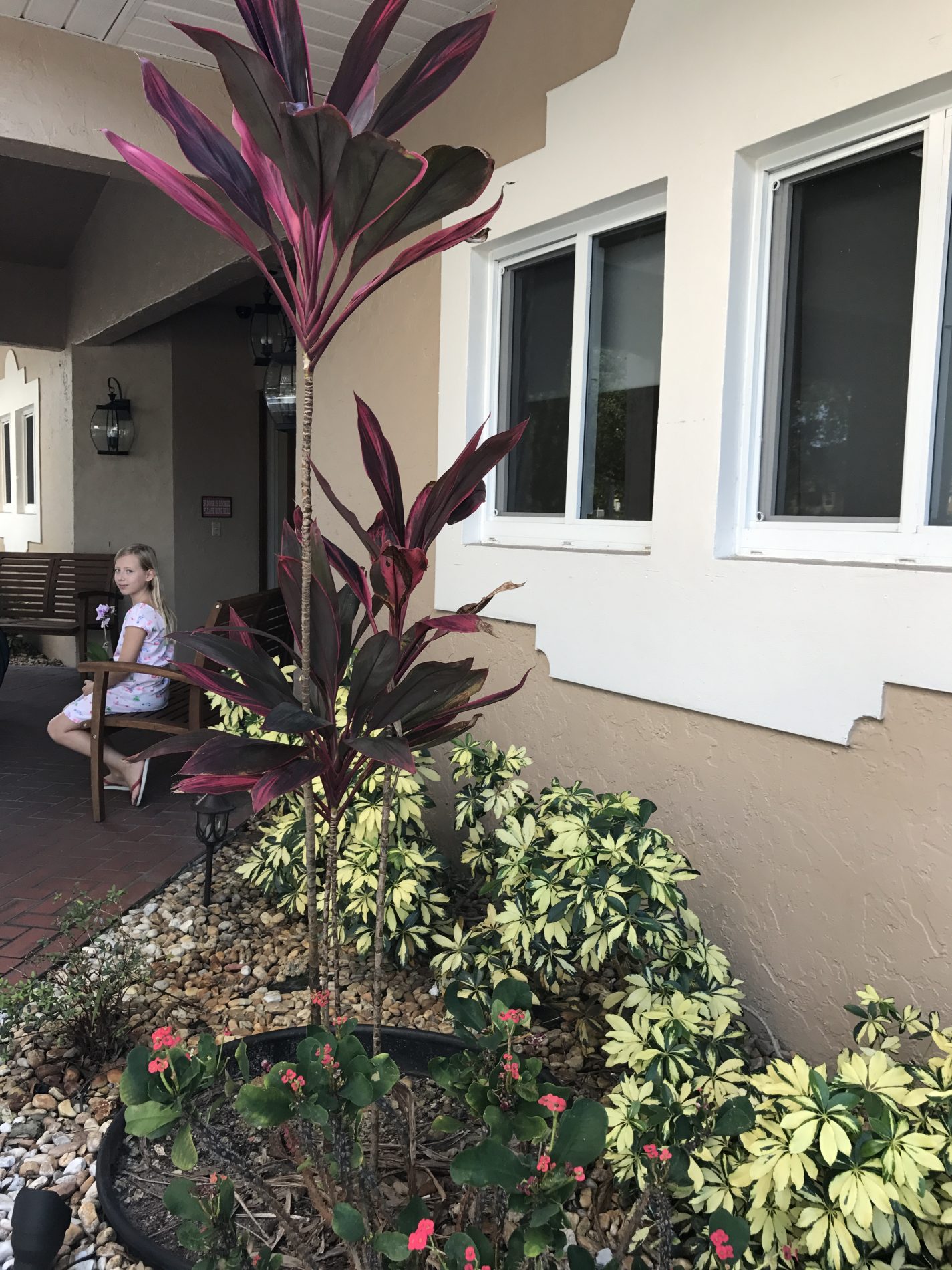 The Colony Club ALF - Garden View